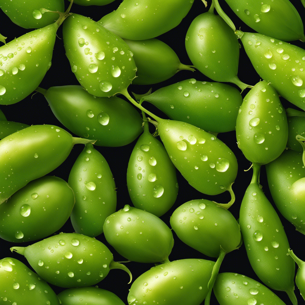 An image showcasing plump, vibrant green butter peas bursting from their pods, glistening with dewdrops under the golden sunlight, evoking freshness and tenderness