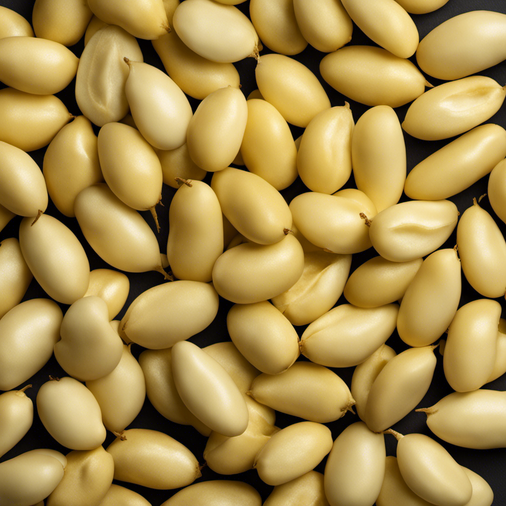 An image capturing the essence of butter beans: a close-up of plump, pale yellow pods with a velvety texture, gently split open to reveal tender, creamy beans nestled inside, their smooth surface illuminated by a soft, natural light