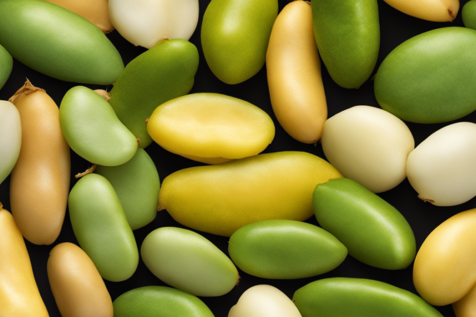 An image showcasing two distinct types of legumes, lima beans and butter beans