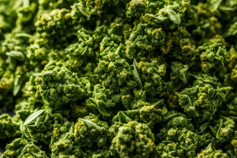 An image showcasing a close-up of a small amount of marijuana buds being delicately crumbled into a vibrant green powder, ready to be used in a cannabutter maker