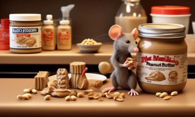 peanut butter used for rat poison preparation