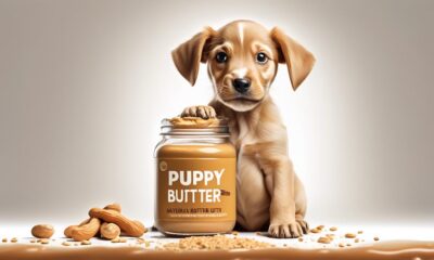 safe peanut butter for puppies