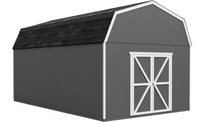 detailed shed review analysis