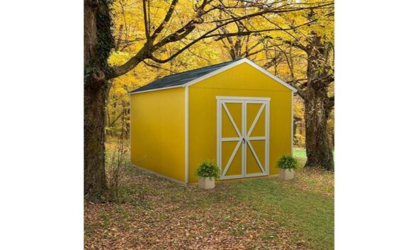 shed review highlights details