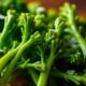 saut ed broccolini with butter