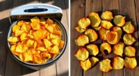 dehydrator versus oven comparison