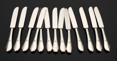 top stylish butter knife sets
