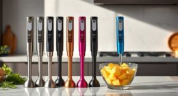 top immersion blender picks