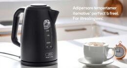 perfect temperature controlled kettles