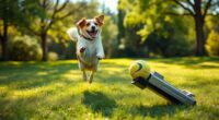 top dog ball launchers