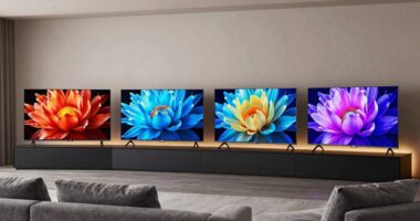affordable premium 4k tvs
