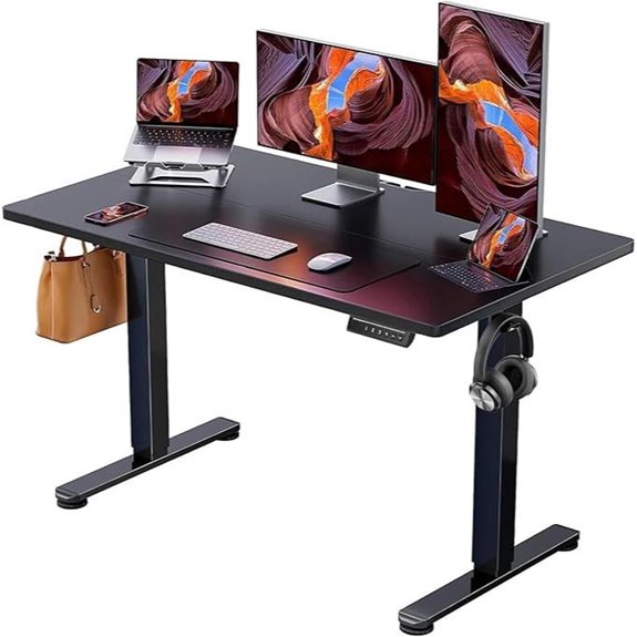 ErGear Electric Adjustable Standing Desk (Black)