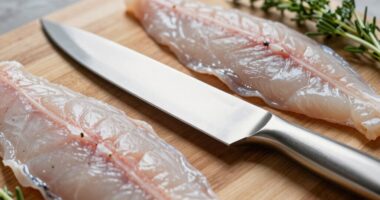 top fish fillet knives