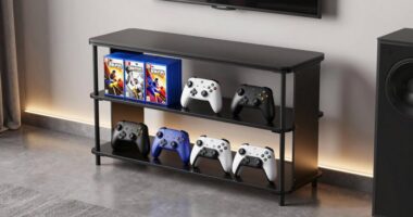 top game storage solutions