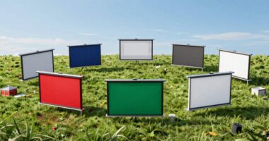 top portable screen picks