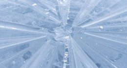 freezing guides eliminate cloudiness