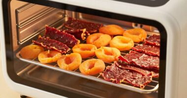 optimal drying temperature settings