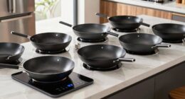 top 15 induction wok burners