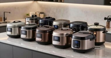 top induction rice cookers