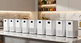 top kitchen dehumidifier picks