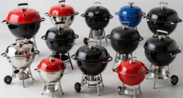 top premium charcoal grills