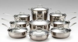 top stainless steel braiser pans