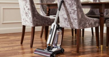 top upholstery cleaning machines