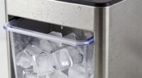 ice maker cleaning frequency