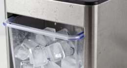 ice maker cleaning frequency