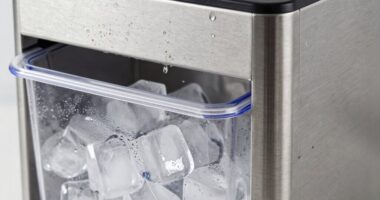 ice maker cleaning frequency