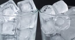 ice texture preference comparison