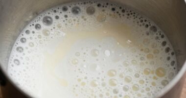 protein and fat issues