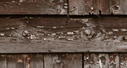 texture influences flour quality