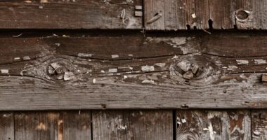 texture influences flour quality