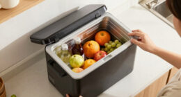 10 Best Electric Cooler for Road Trips in 2026