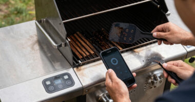 10 Best Pellet Grill Smoker With Wifi in 2026 — The Ultimate Buying Guide