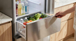 11 Best Drawer Refrigerator for Kitchen in 2026
