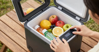 11 Best Electric Cooler for Road Trips in 2026