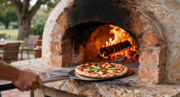 11 Best Wood Fired Pizza Oven Outdoor in 2026