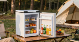12 Best Camping Fridge Freezer Dual Zone in 2026