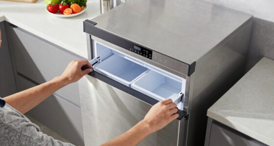 12 Best Dual Zone Portable Fridge Freezer in 2026