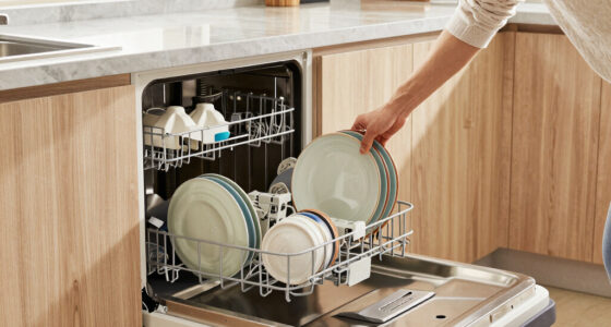 12 Best Portable Countertop Dishwashers in 2026
