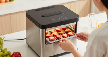 13 Best Freeze Dryer for Home Use in 2026