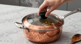 14 Best Best Braiser Pan With Lid in 2026