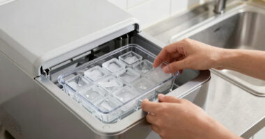 14 Best Best Clear Ice Maker Machine in 2026