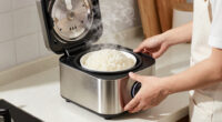 14 Best Best Rice Warmer Cabinet in 2026
