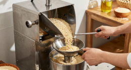 14 Best Best Sesame Oil Press Machine in 2026