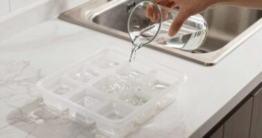 14 Best Clear Ice Tray System in 2026