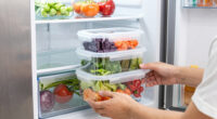 15 Best Refrigerator Organization Bins Heavy Duty in 2026