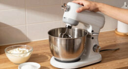 15 Best Stand Mixer Attachment Ice Cream Maker in 2026